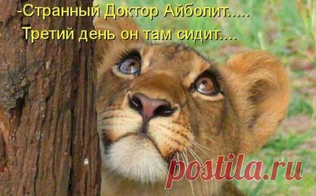 Новости