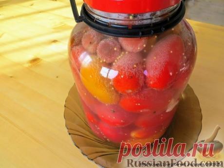 Письмо «сообщение галина5819 : Квашеные помидоры "Газированные", как бочковые (на зиму) (03:10 24-08-2019) [3803925/459475377]» — галина5819 — Яндекс.Почта