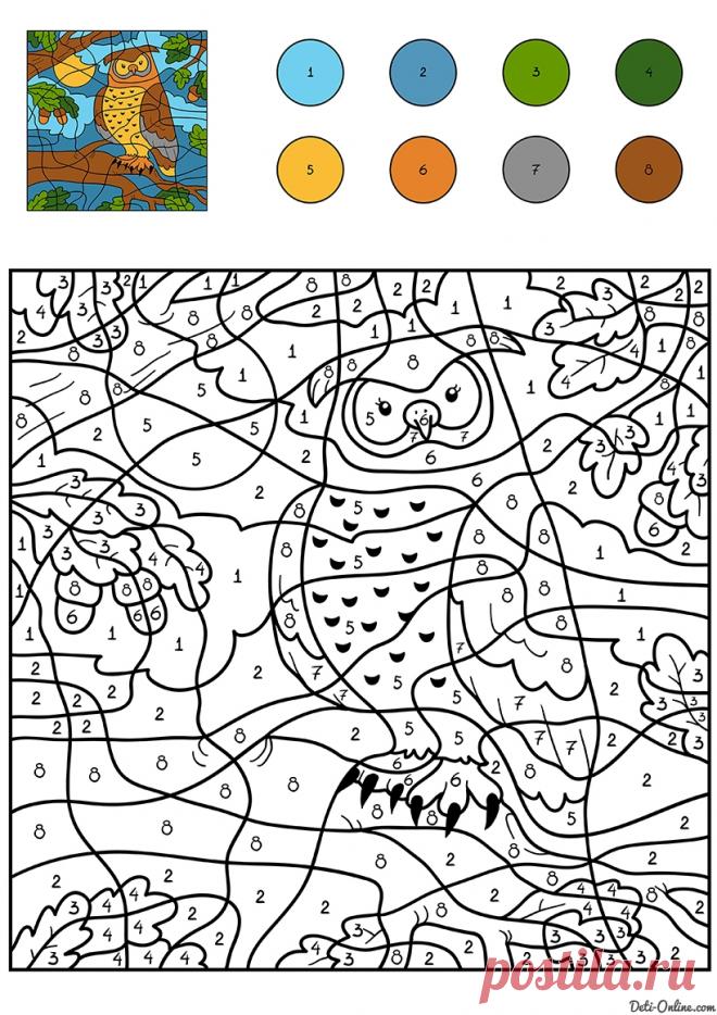 Раскраски по цифрам-2