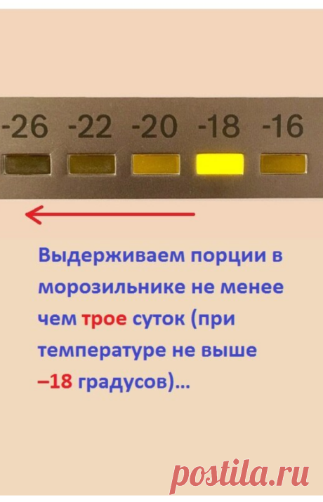 Ваша КОШКА любит мясо, но это слишком дорого? Есть прекрасная АЛЬТЕРНАТИВА! | Мой обожаемый кот | Яндекс Дзен