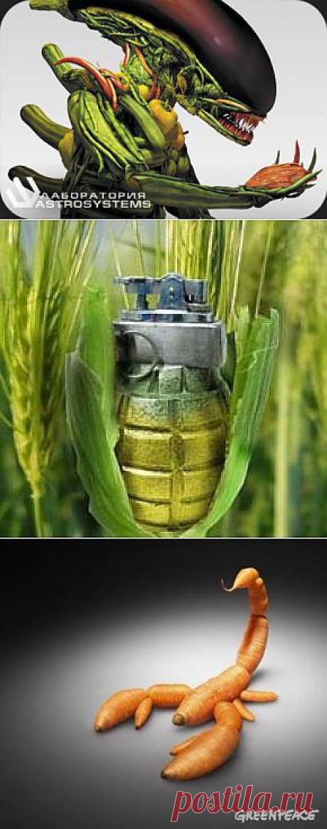 Список ГМО продуктов и производителей.