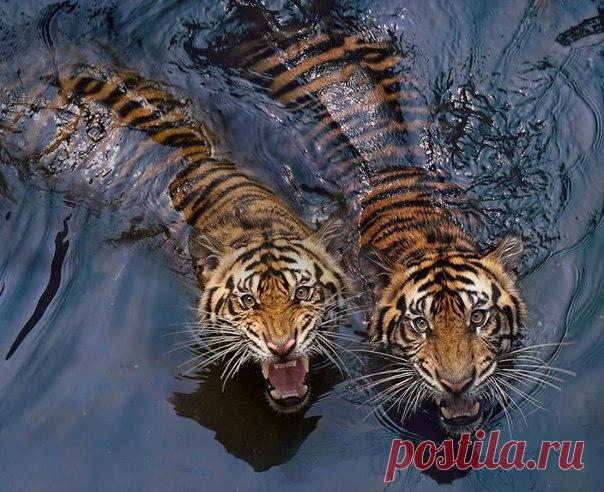 (1) Мой Мир@Mail.Ru