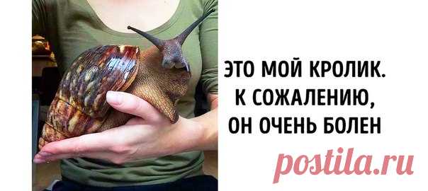 17 человек, у которых такое острое чувство юмора, что может проткнуть кого-нибудь насквозь