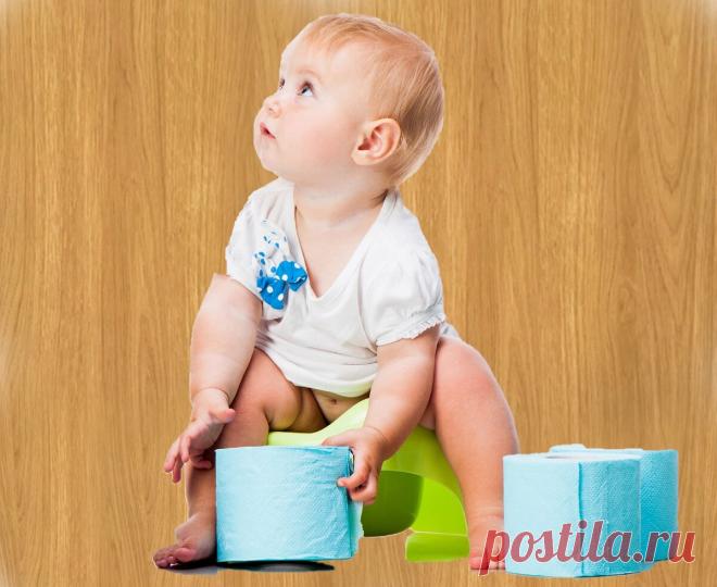 Как моя подруга приучила ходить на горшок своего ребёнка в 9 месяцев. Рассказываю 3 простых способа | Мама на всю голову! | Яндекс Дзен