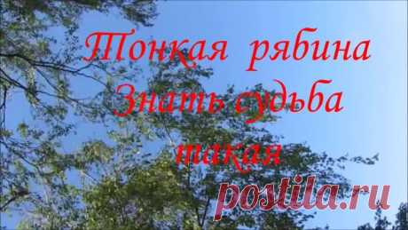 Тонкая рябина ♫ Русская народная песня ♥★