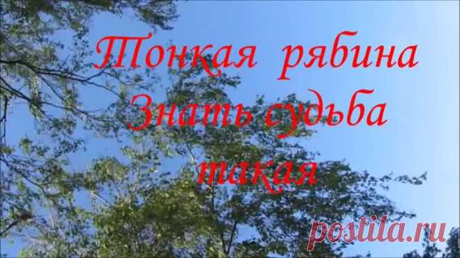 Тонкая рябина ♫ Русская народная песня ♥★