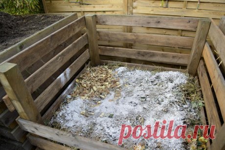 Самый полезный компост из опавшей листвы. Хитрости приготовления