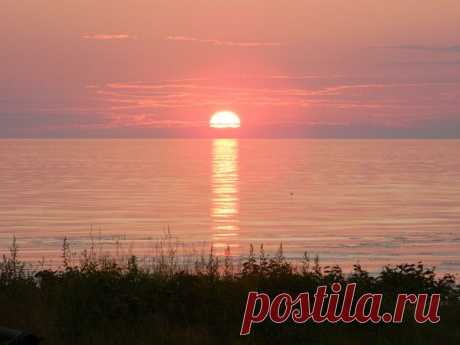 Фотографии Наталья Ляхова | 1303 фото