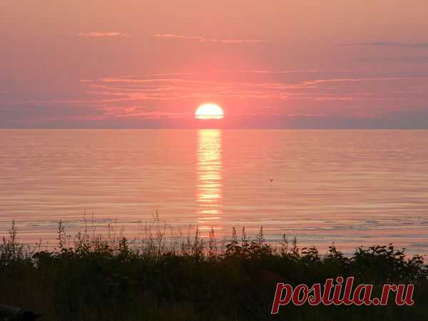 Фотографии Наталья Ляхова | 1303 фото