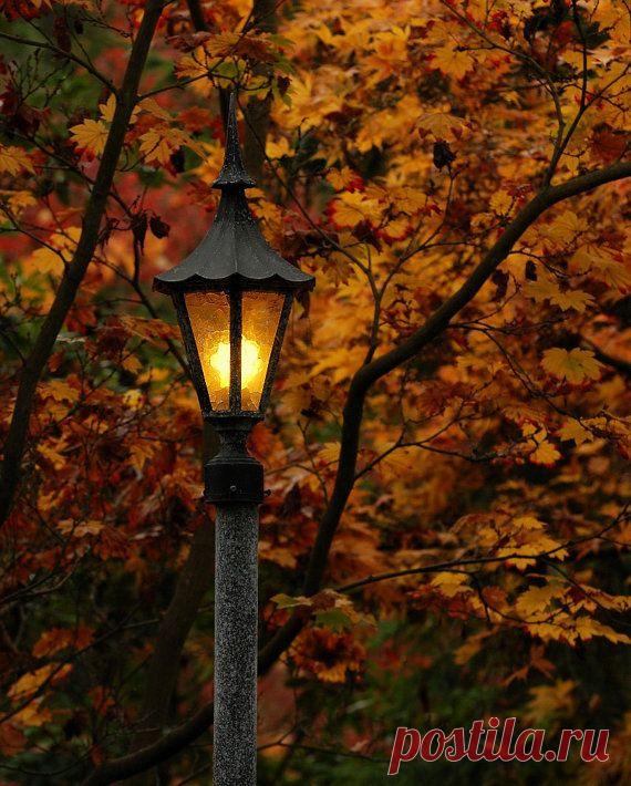 Найдено на сайте etsy.com.