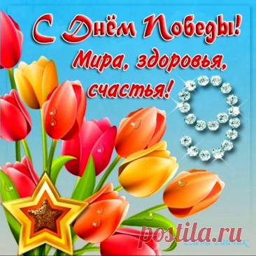 Желаю в мире всем нам жить,
Не зная слов «война» и «беды».
Всё, что имеем, то ценить,
Вас поздравляю с Днём Победы!