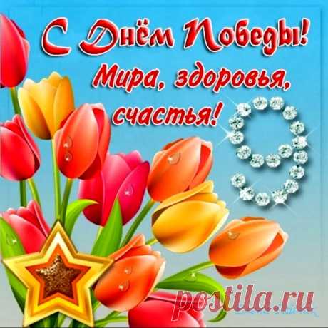 Желаю в мире всем нам жить,
Не зная слов «война» и «беды».
Всё, что имеем, то ценить,
Вас поздравляю с Днём Победы!
