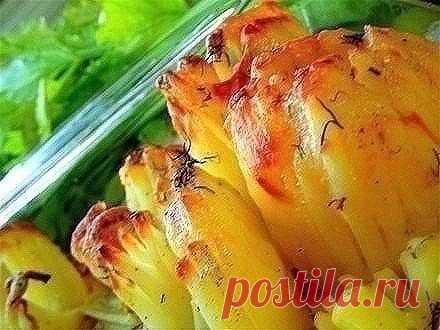 10 вкусных рецептов из картофеля