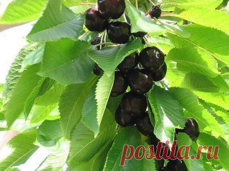 город ХУДЖАНД ленинабад ПРИСОЕДИНЯЙСЯ
30 лет, Таджикистан, Худжанд