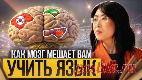 Как мозг мешает вам учить язык: секреты нейробиологии для изучения языков Приглашаю на БЕСПЛАТНЫЙ вебинар тех, кто хочет с нуля заговорить на китайском языке и НЕ переучиваться👇🏻👉🏻 https://nihaostudy-start.ru/chinastart1?utm_so...
