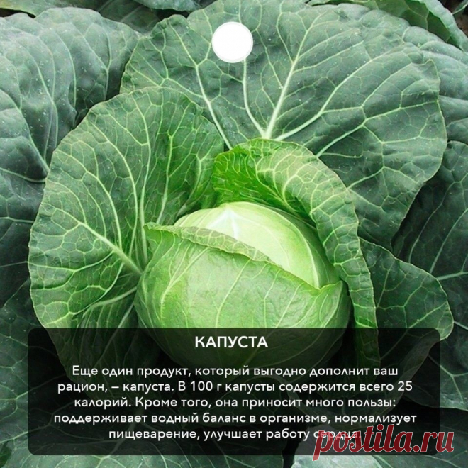 свойство продукта !!