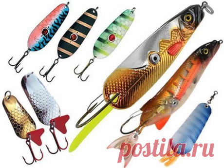 Общие советы по колеблющимся блеснам 

* Крупные колебалки очень хороши на мелководных участках озер, особенно в холодное время года. Если есть возможность неторопливо провести блесну над водной растительностью – успех гарантирован. На открытых местах с достаточной глубиной, основной упор нужно сделать на фазу свободного парения при опускании блесны на дно – красивая игра и привлекательное поблескивание сделают свое дело.
Показать полностью…