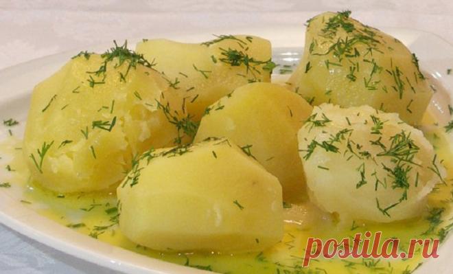 12 отличных подсказок владелицам мультиварок: шпаргалка для всех хозяек!