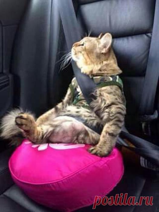 Безопасность прежде всего