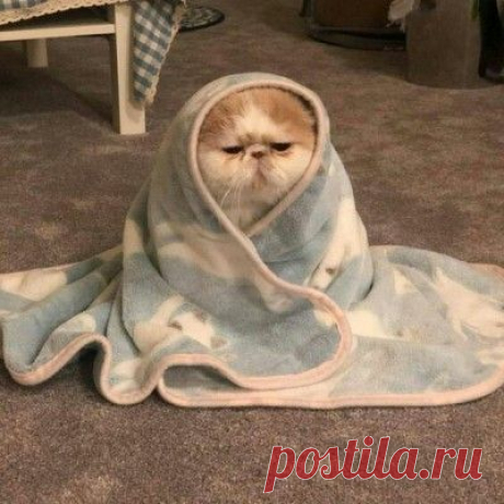 Pinterest