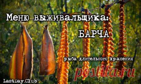 МЕНЮ ВЫЖИВАЛЬЩИКА: БАРЧА. "РЫБНЫЕ КОНСЕРВЫ" ЭВЕНКОВ