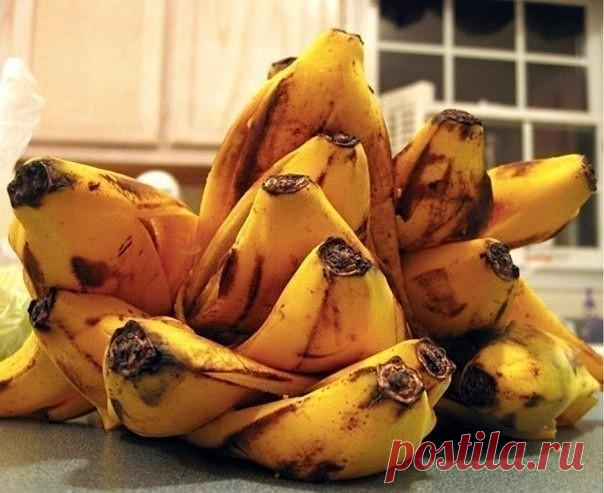 Органические подкормки