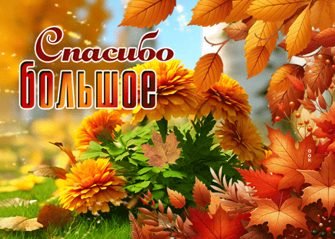 Фантастическая гиф-открытка, спасибо большое я вам говорю