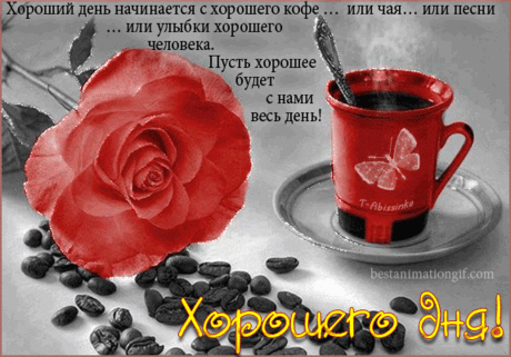 Хорошего дня!