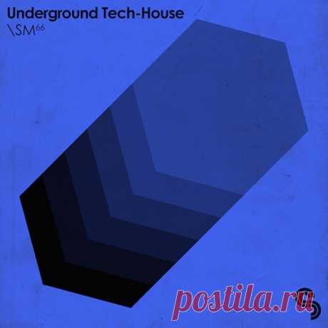 Sample Magic Underground Tech-House MULTiFORMAT-AUDIOSTRiKE | 919 MB
From the deep and dubby to the techy and tracky: Underground Tech-House delivers 1GB+ of pared-back beats and big-room rollers, hypnotic bass grooves, all-analogue filtered chords and tripped-out leads, inspirational melodic track-starters, tight percussive lines, expertly-processed FX tools and stacks of chunky hardware-crafted drum hits.