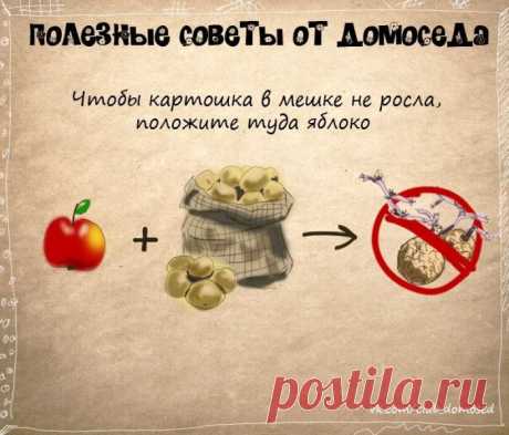 Хозяйке на заметку-3 (24 фото) - ЛоЛс.ру - Позитивный такой смешарик! :-))