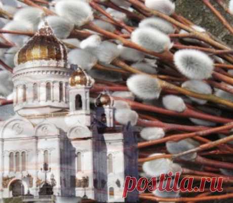 Что нельзя делать в Вербное Воскресенье?