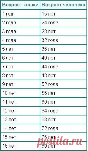 5488953.jpg (290×497)