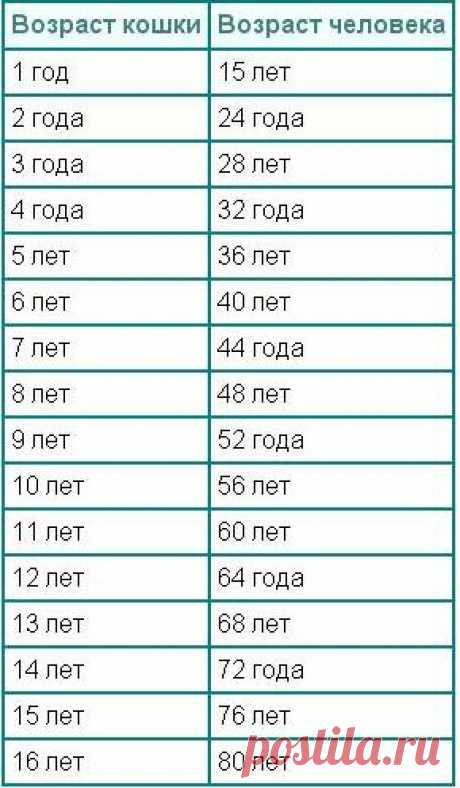 5488953.jpg (290×497)
