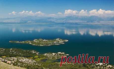 Momir Matkovic - Momir Matkovics Fotos | Facebook