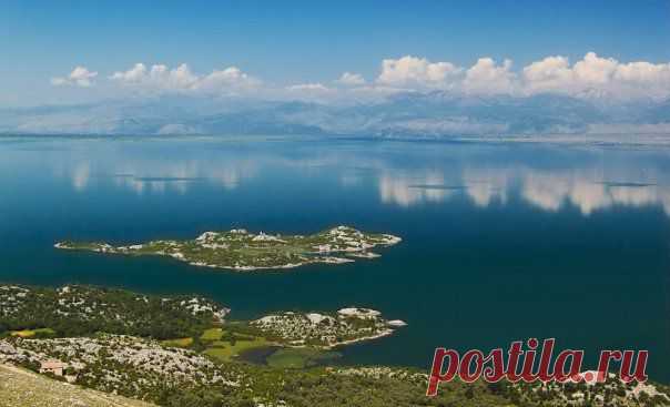 Momir Matkovic - Momir Matkovics Fotos | Facebook