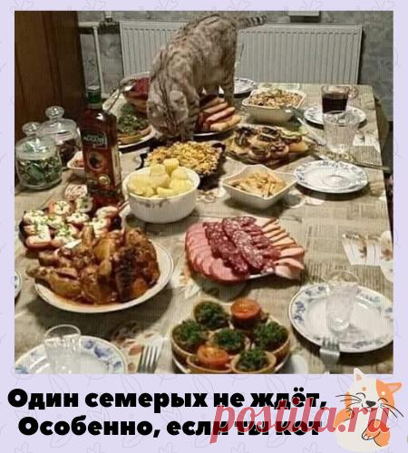 Просто анекдоты. Про наших любимых котов, кошечек и котишек
Вот и подошел к концу последний рабочий день недели, с чем я вас всех и поздравляю, дорогие друзья! Всем нам необходимо запастись хорошим настроением к предстоящим выходным и отдохнуть до следующей неделе как можно эффективнее. А поскольку главными специалистами по классному отдыху от всего и вся являются коты, то сегодняшняя пятничная подборка анекдотов посвящается, конечно […]
Читай пост далее на сайте. Жми ⏫ссылку выше