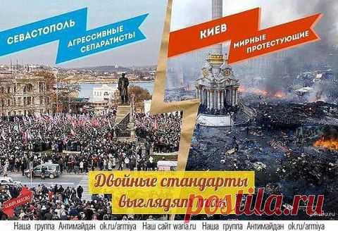 Политическая сказка: В кустах, сидел медведь, и старательно делал вид, что его там нет... Вечерело. | Новости, события, факты