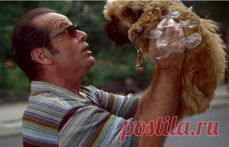 Какие современные ментальные расстройства полвека назад и за болезнь не считались - ПолонСил.ру - социальная сеть здоровья - Медиаплатформа МирТесен 21 век называют веком ментального здоровья. Но если подключить долю скепсиса, то можно переименовать его в век пристального внимания к ментальным нюансом. Этот материал назовёт пять почти уже «модных» в наши дни ментальных расстройств, которые четыре десятка лет назад таковыми не считались, да и - 21 сентября - 43341855070 - Медиаплатформа МирТесен