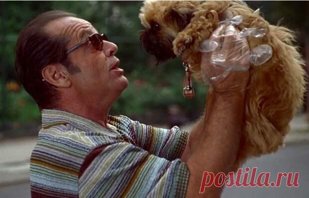 Какие современные ментальные расстройства полвека назад и за болезнь не считались - ПолонСил.ру - социальная сеть здоровья - Медиаплатформа МирТесен 21 век называют веком ментального здоровья. Но если подключить долю скепсиса, то можно переименовать его в век пристального внимания к ментальным нюансом. Этот материал назовёт пять почти уже «модных» в наши дни ментальных расстройств, которые четыре десятка лет назад таковыми не считались, да и - 21 сентября - 43341855070 - Медиаплатформа МирТесен