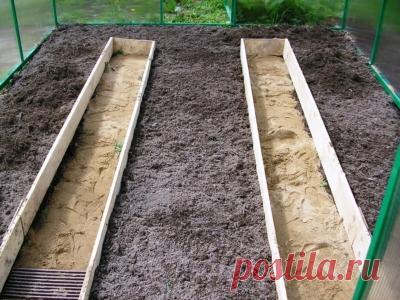 Из чего можно сделать дорожки между грядками — 6 видов материалов для любого кошелька Selo.Guru — интернет портал о сельском хозяйстве