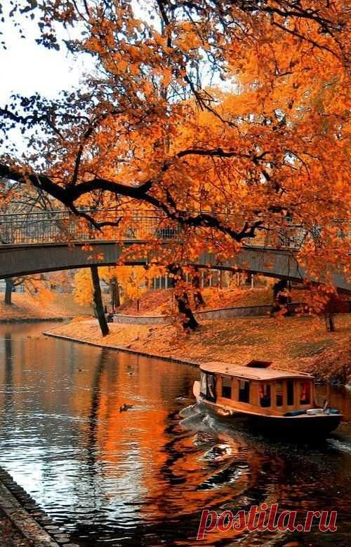 (210) Pinterest