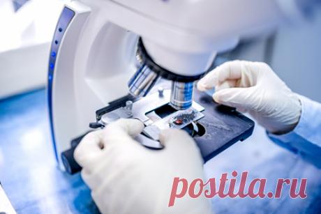 Вирусолог рассказал об антителах против разных штаммов коронавируса. Омикрон оказал положительное влияние на всю пандемию COVID-19. Сейчас в популяции стали формироваться антитела, которые способны сопротивляться нескольким штаммам коронавируса, рассказал в беседе с «Лентой.ру» вирусолог, профессор центра имени Гамалеи Александр Бутенко.