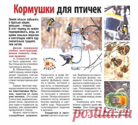Кормушки для птичек