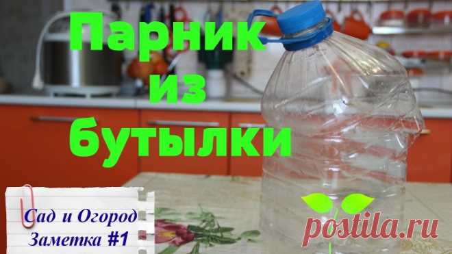 Во саду ли в огороде • Парник из пластиковой бутылки. Лайфхак от Юли.