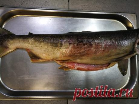 Старый друг из Китая научил быстро размораживать мясо и рыбу сохраняя свежесть сырья, делюсь с вами. | Кулинарный канал шефа | Яндекс Дзен