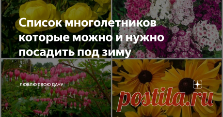 Список многолетников которые можно и нужно посадить под зиму Осень пора, когда с огородов и участков все убирают. А мы с вами будем сажать. Пойдем против всех и тем самым добьемся невиданной красоты на своем участке следующим летом.
Фото из открытого источника Яндекс, без рекламных целей. В качестве примера
Многолетники, которые высаживаются осенью, успевают укорениться. Им не приходится тратить на это время весной, поэтому все силы направляют на рост и