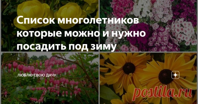Список многолетников которые можно и нужно посадить под зиму Осень пора, когда с огородов и участков все убирают. А мы с вами будем сажать. Пойдем против всех и тем самым добьемся невиданной красоты на своем участке следующим летом.
Фото из открытого источника Яндекс, без рекламных целей. В качестве примера
Многолетники, которые высаживаются осенью, успевают укорениться. Им не приходится тратить на это время весной, поэтому все силы направляют на рост и