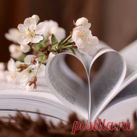 Я давно не пишу тебе писем /не тот формат/,
Не листаю страницы книги с названием «Было»
И при встрече уставшее сердце не бьет в набат...
А тихонечко шепчет «его ты когда-то любила».
Я давно разучилась с тобою дышать в унисон,
Умножая все вдохи и выдохи на бесконечность...
И без крыльев лететь в Никуда, позабыв обо всём...
Я, наверное, стала старше... /на целую вечность/.
Я давно не пишу тебе писем... и в городе N
Почтальон не бросает теперь их в почтовый ящик...
Время всё ...