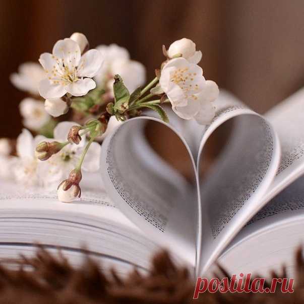 Я давно не пишу тебе писем /не тот формат/,
Не листаю страницы книги с названием «Было»
И при встрече уставшее сердце не бьет в набат...
А тихонечко шепчет «его ты когда-то любила».
Я давно разучилась с тобою дышать в унисон,
Умножая все вдохи и выдохи на бесконечность...
И без крыльев лететь в Никуда, позабыв обо всём...
Я, наверное, стала старше... /на целую вечность/.
Я давно не пишу тебе писем... и в городе N
Почтальон не бросает теперь их в почтовый ящик...
Время всё ...