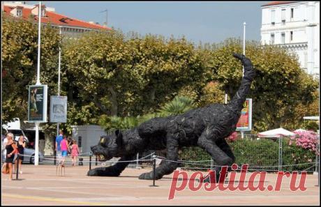 Лазурный берег, Канны. | Фотографии Светлана Верхошинская | 8083 фото